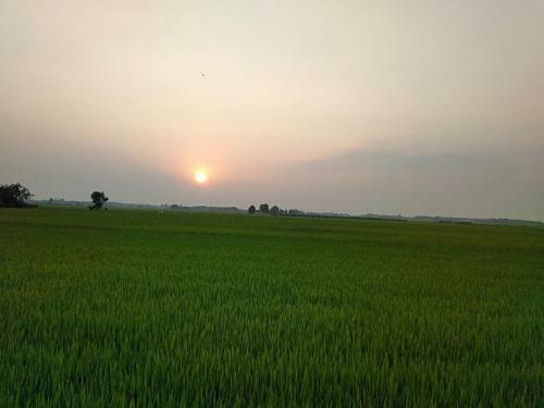 Cu Chi Boutique Farmstay