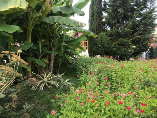 Villa Sansara Om Hotel Sukhum