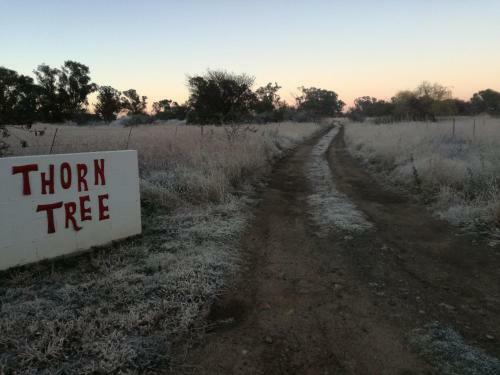 Bed & Breakfast Thorn Tree Bloemfontein