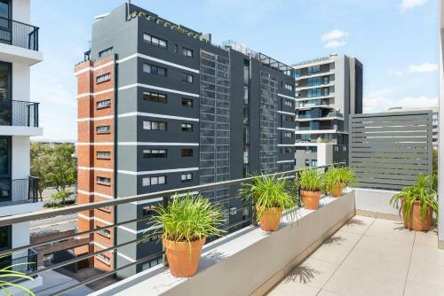 Chelsea Apartments