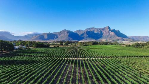 Hostal Lynx Wine Estate