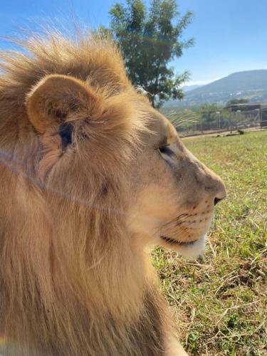 Hostal Pumbaa Wildlife Park & Accommodation