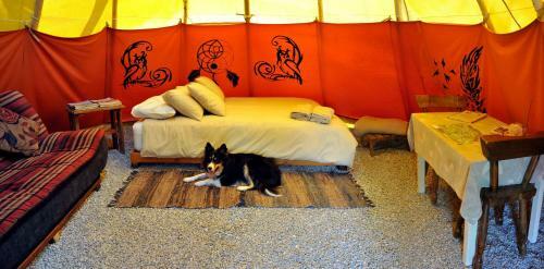 Agroturismo Assegai Rest