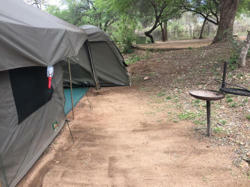 Kruger Park Tours Glamp
