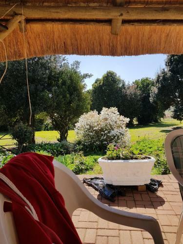 Agroturismo Piccadilly Farm Cottage