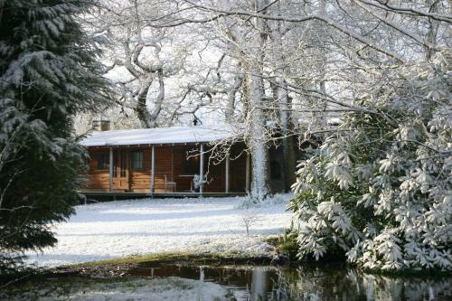 Bed & Breakfast Parc-le-breos House