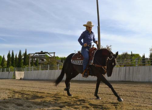 Agroturismo Pietra Cavalla - Ranch & Resort