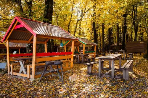 ???? ?????? ?????? ?????