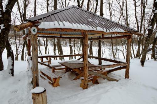 ???? ?????? ?????? ?????