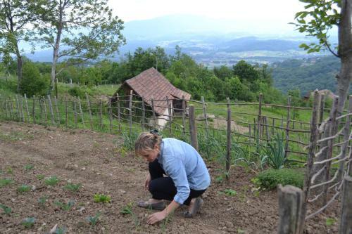 Agroturismo Vineyard Cottage Skatlar 2