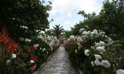Bed & Breakfast Villa Paradiso