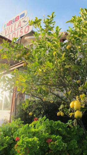 Bed & Breakfast Villa Paradiso