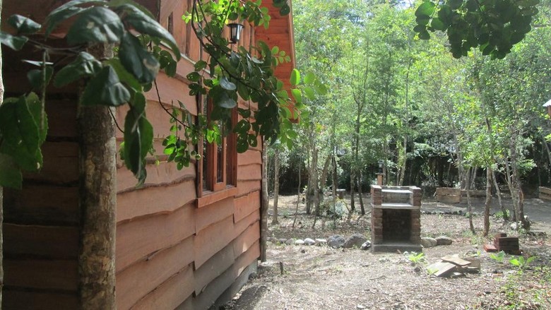 Bosque De Pucon