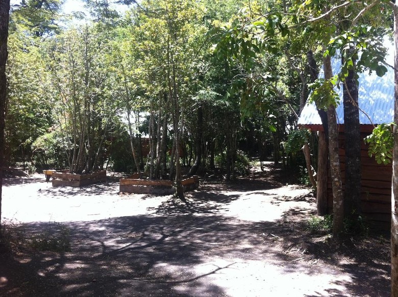 Bosque De Pucon