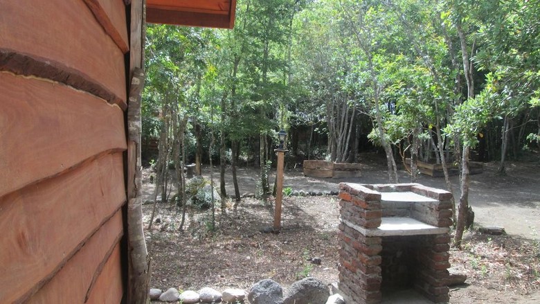 Bosque De Pucon