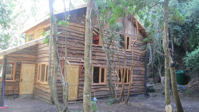 Bosque De Pucon
