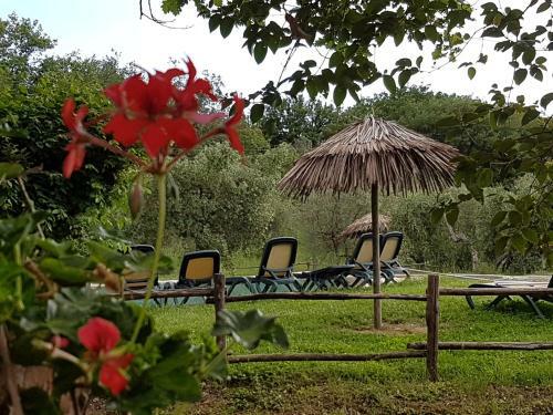 Agroturismo Tenuta Col Di Sasso