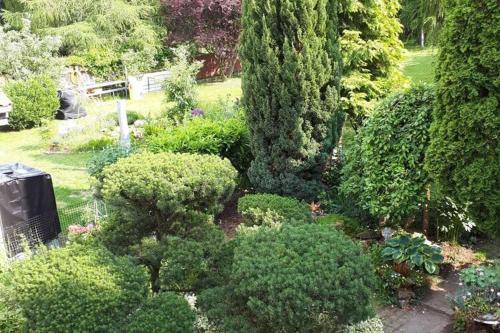 Cosy Holiday Home In Wernigerode With Fireplace And Private Terrace