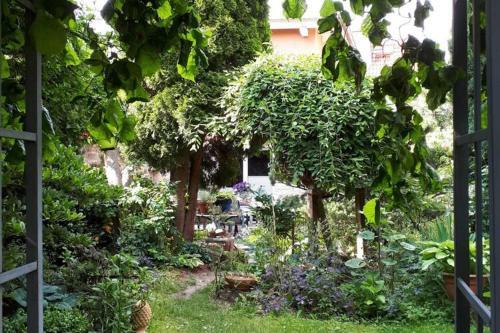 Cosy Holiday Home In Wernigerode With Fireplace And Private Terrace