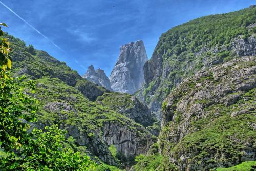 Apartamento Trascorrales Senda Del Oso
