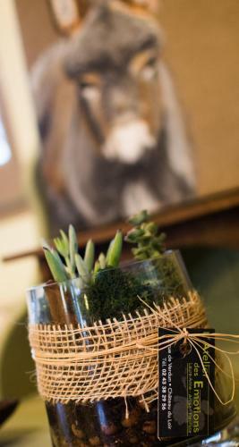 Hostal La Haute Forge Maison D'h�tes