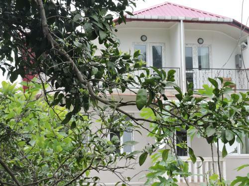 Agroturismo Shamili