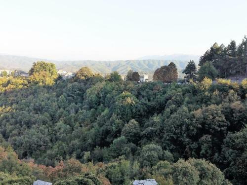 Hostal Archontiko Evridikis