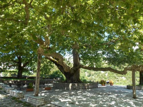Hostal Archontiko Evridikis