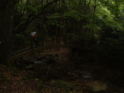Hostal Guesthouse Kastania