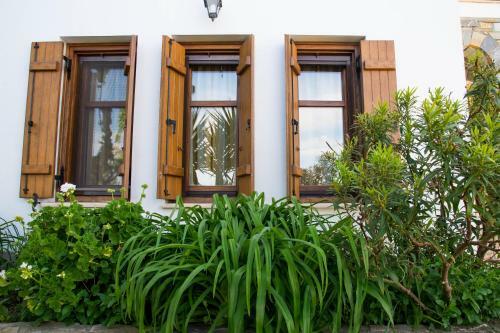 Apartamento Guesthouse Enastron