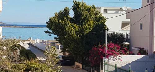 4 Seasons Suites On The Beach