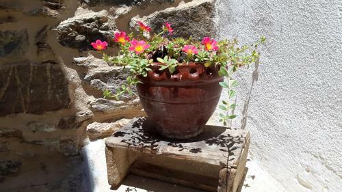 Granny's Olive Mill Villa