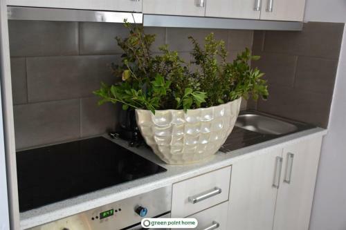 Apartamento Green Point Home