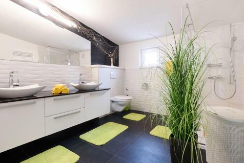 Studio Apartment Maslina