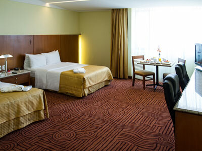 Hotel Holiday Inn Puebla Finsa