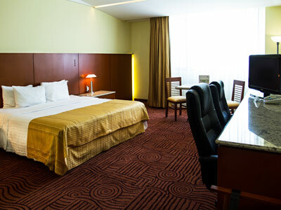 Hotel Holiday Inn Puebla Finsa
