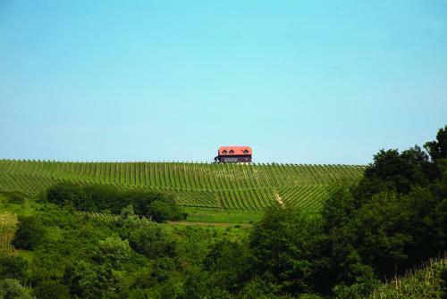 Agroturismo Rooms Bolfan Vinski Vrh