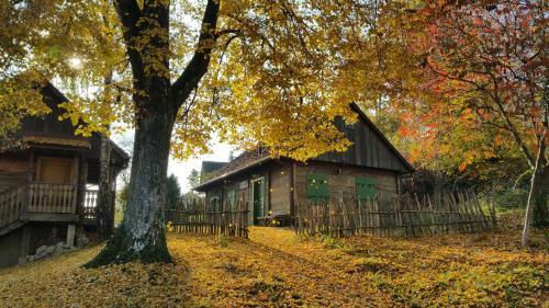 Pension Vuglec Breg