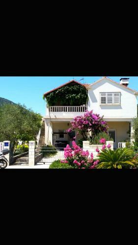 Apartamento Villa Mali Ston (3588)