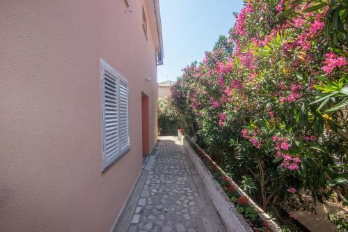 Apartment And Rooms Amenka