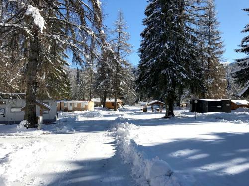 Fiemme Village