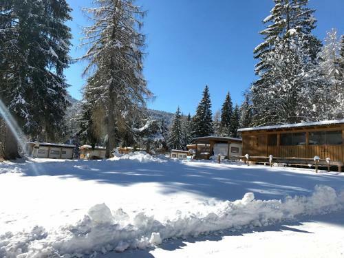 Fiemme Village