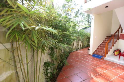 Bed & Breakfast An Bang Beach Town Homestay