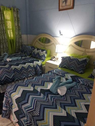 Hostal Caribbean Tourist Villa
