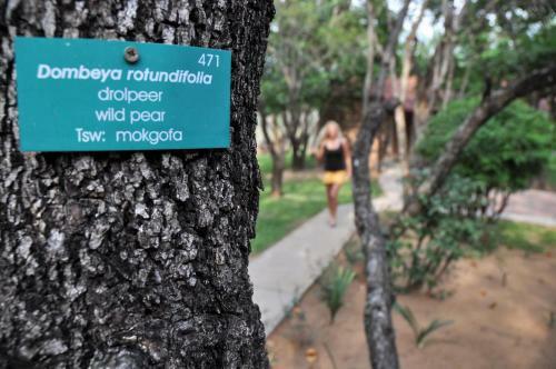 Lodge Shakati Private Game Reserve
