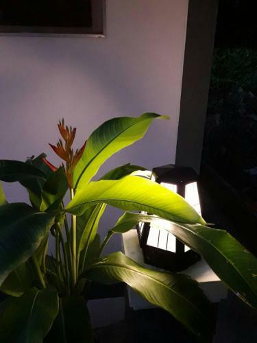 Apartamento White Flower Lanta