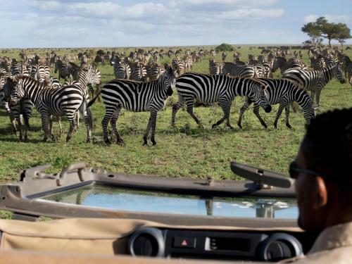 Lodge One Nature Nyaruswiga Serengeti