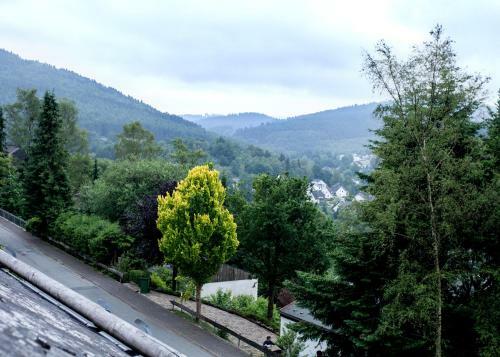 Apartamento Am Bergelchen 60-s