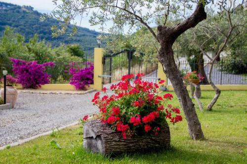 Hotel Appartamenti Antico Frantoio Doria Resort