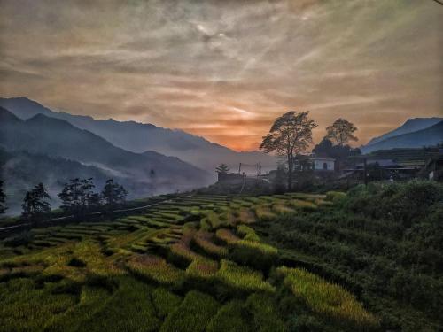 Hoa's Homestay Sapa